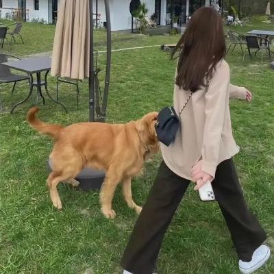 爱